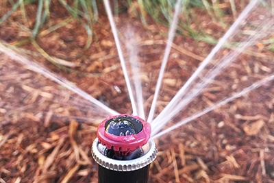 Best Lawn Sprinkler System