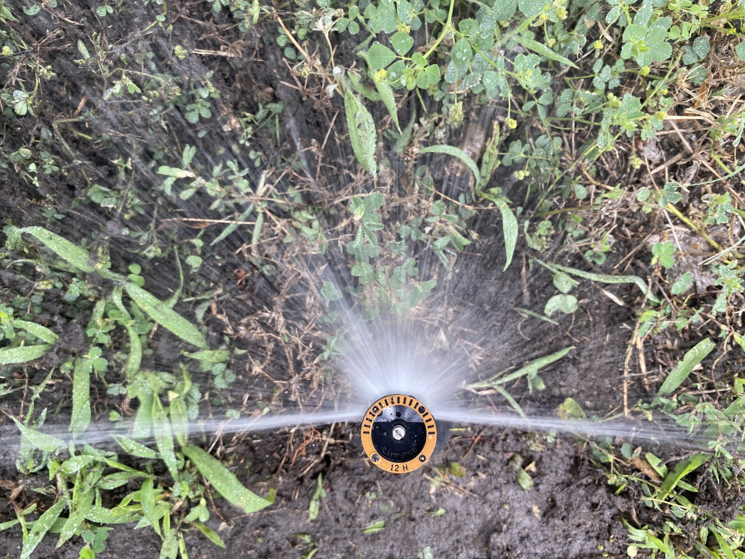 Sprinkler Head adjustment in Broken Arrow