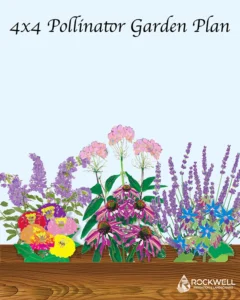 Free Pollinator Plan and Guide for a small garden bed. 