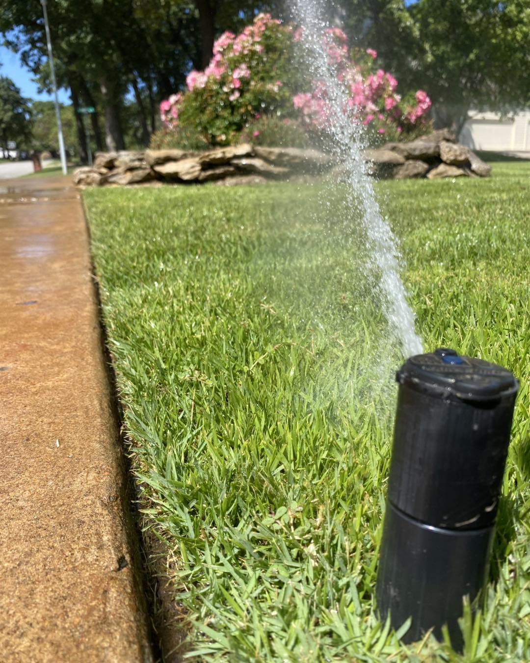 Best Lawn Sprinkler System