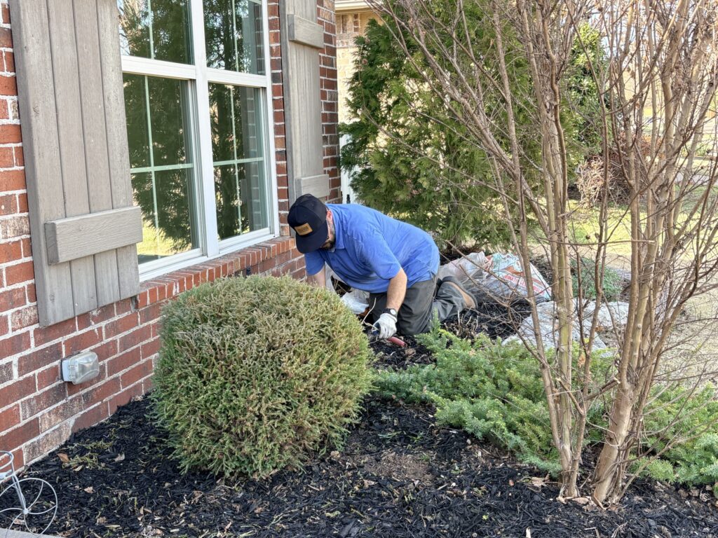 Spring Yard Cleanup in Broken arrow