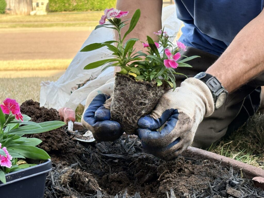 Planting Flowers in Broken Arrow, Ok