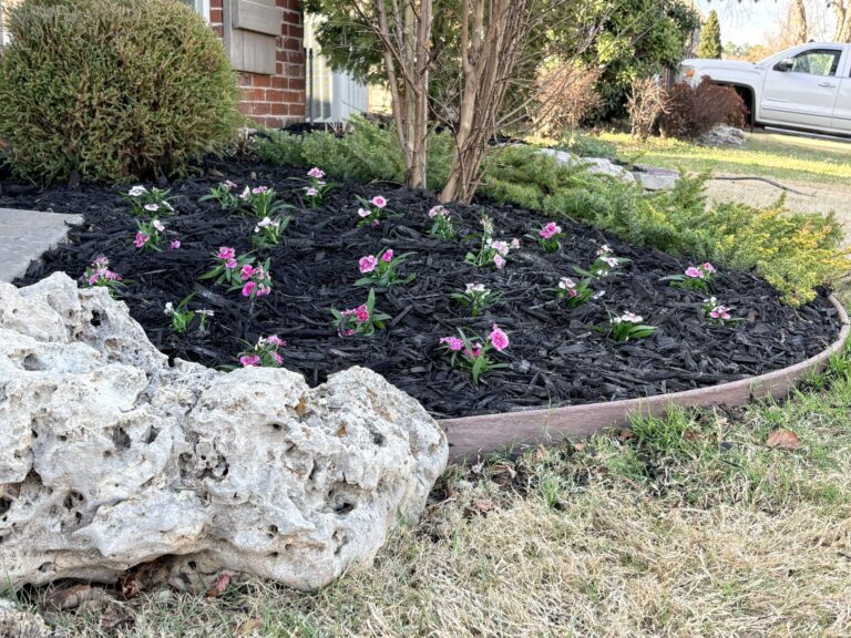 Landscaping in Broken Arrow, OK a spring bed refresh.